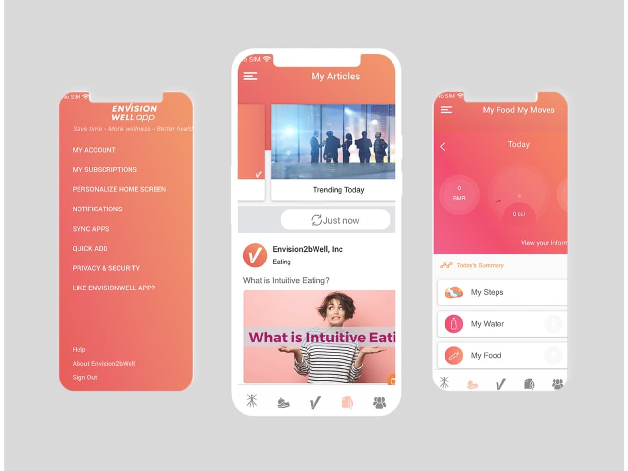 Envision2bWell thumbnail